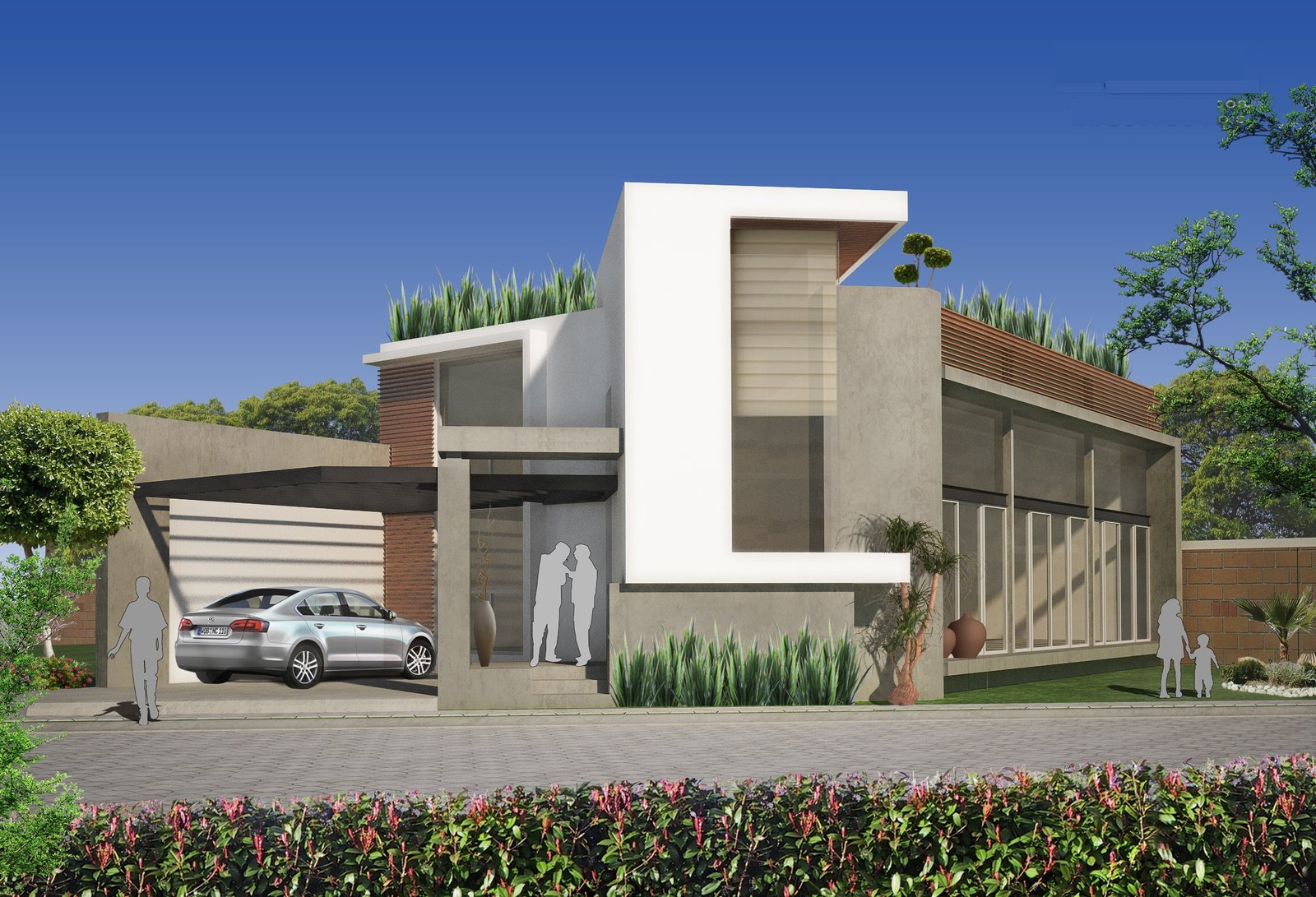Proyecto 8